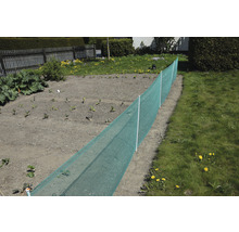 Gemüsegarten mit Schutznetz gegen Schädlinge