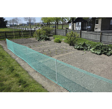 Gemüsegarten mit Schutznetz und Stützpfosten