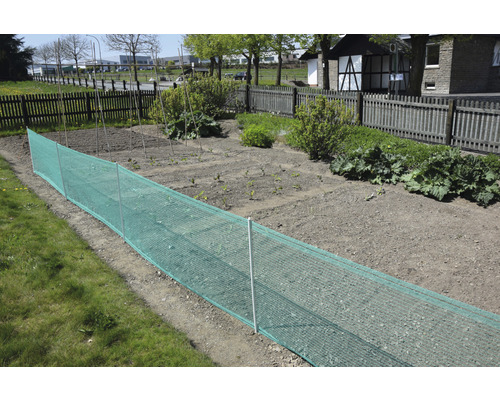 Gemüsegarten mit Schutznetz und Stützpfosten