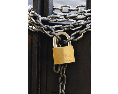 ABUS Vorhängeschloss sichert eine Kette an einem Tor