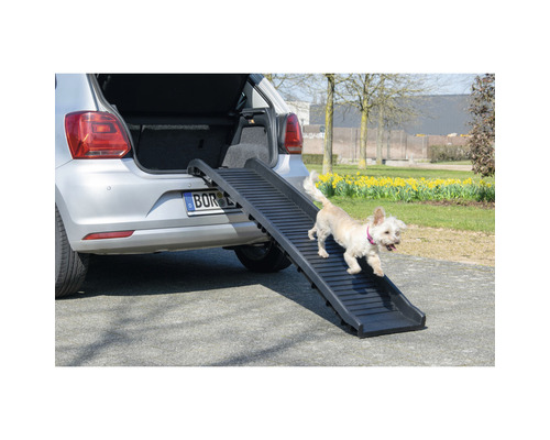 Rampe pour chien pour voiture Swisspet Boarding 120x40 cm - HORNBACH