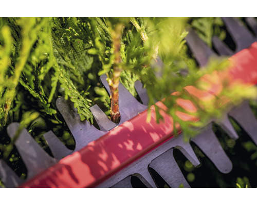 Nahaufnahme einer Heckenschere beim Schneiden von Hecken