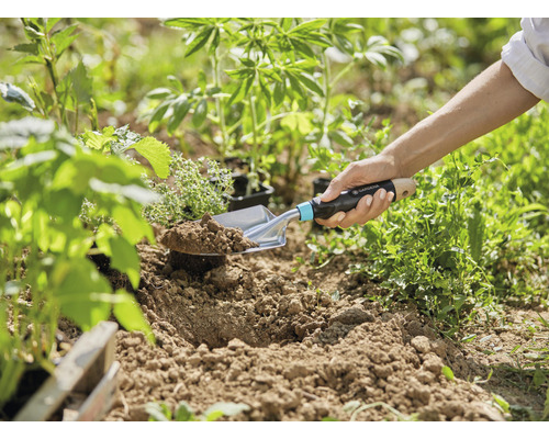 Gärtner pflanzt mit einer Pflanzkelle Setzlinge in den Boden.