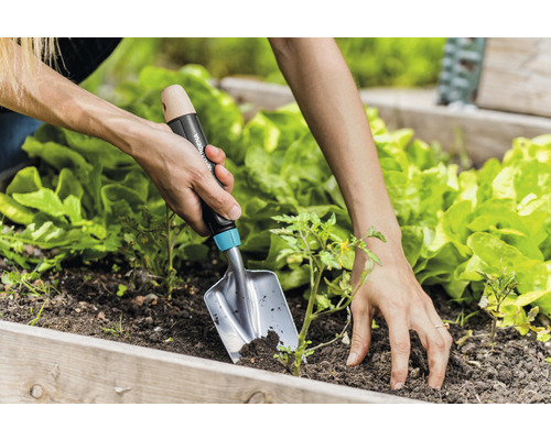 Person pflanzt Setzling mit einer Gartenschaufel in einem Hochbeet.