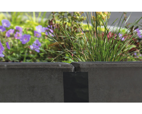 Beton-Pflanzkasten mit Blumen und Gräsern