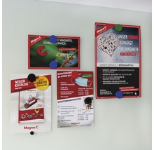 Mehrere Informationsblätter sind mit Magneten an einer Tafel befestigt.