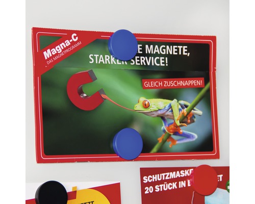 Magna-C Magnetprogramm Verpackung mit runden Magneten