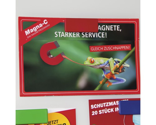 Magna-C Magnete mit Frosch Motiv