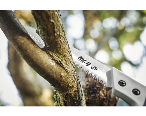 Astsäge beim Sägen eines Astes