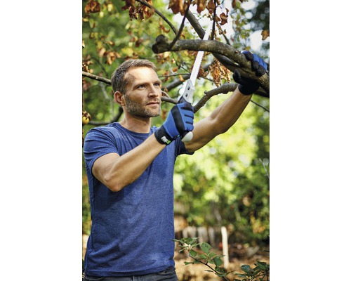 Ein Mann sägt mit einer Handsäge einen Ast ab.