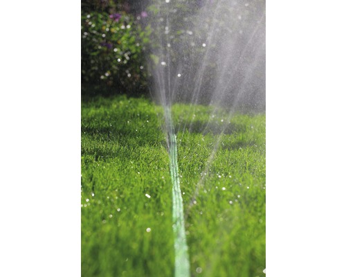 Rasensprenger bewässert Rasenfläche