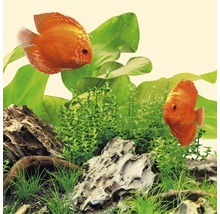 Aquariumbeleuchtung Juwel LED Nature 23 W 1047 mm