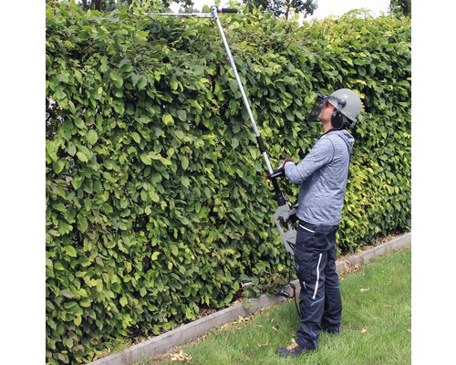 Eine Person schneidet eine Hecke mit einer elektrischen Heckenschere mit Stiel.
