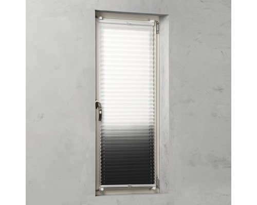 Plissee im Fenster zur Lichtregulierung und Dekoration