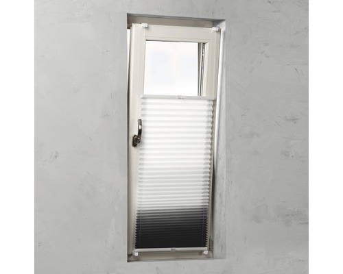 Plisseerollo am Fenster zur Lichtregulierung und zum Sichtschutz