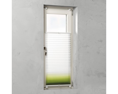 Plissee am Fenster zur Lichtregulierung und als Sichtschutz