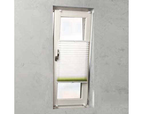 Fenster mit Plissee zur Beschattung