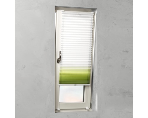 Fenster mit weißem und grünem Plissee