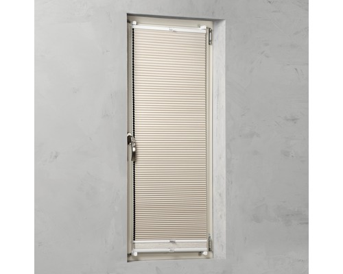 Plissee im Fenster zur Lichtregulierung und als Sichtschutz.