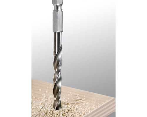 Holzbohrer beim Bohren in ein Holzbrett