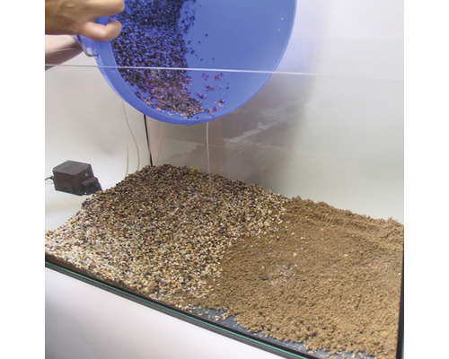 Befüllen eines Aquariums mit Bodengrund und Kies