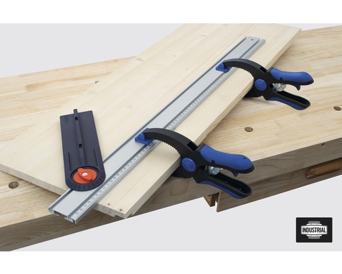 Holzwerkstück fixiert mit Führungsschiene, Winkelanschlag und Schraubzwingen auf einer Werkbank.