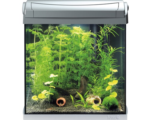 Eingerichtetes Aquarium mit Wasserpflanzen, Bodengrund und Dekoration