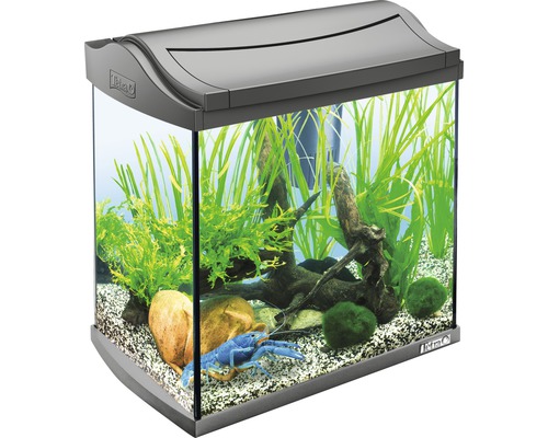 Eingerichtetes Aquarium mit Pflanzen, Steinen, einer Wurzel und einem Krebs