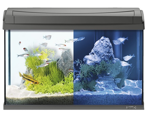 Aquarium aquatlantis Advance 60 mit LED-Beleuchtung