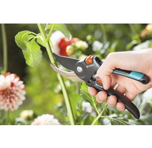 Gartenschere beim Schneiden eines Stiels im Garten