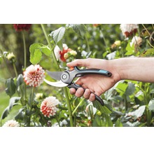 Gartenschere in der Hand vor Blumenbeet