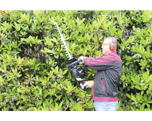 Eine Person schneidet eine Hecke mit einer Heckenschere. Die Person trägt Schutzkleidung.