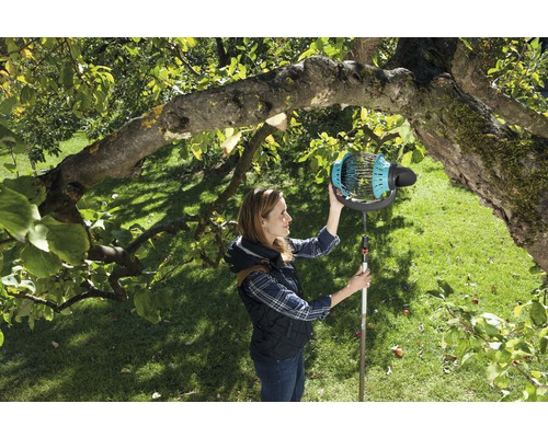 Frau erntet Obst mit einem Obstpflücker an einem Baum im Garten