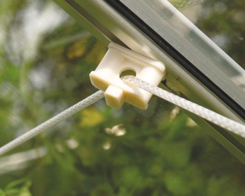Detailaufnahme eines Kunststoffhalters mit Schnur an einem Gewächshaus