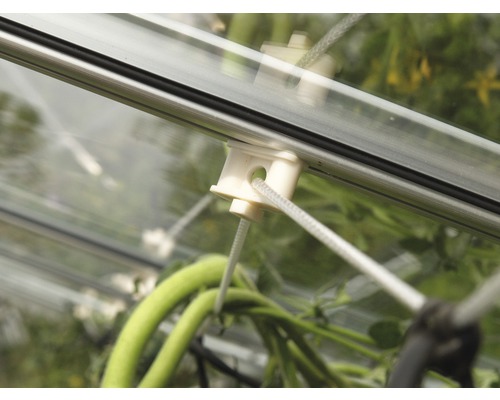 Detailansicht eines Gewächshaus-Innenraums mit Schnurhalterung