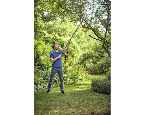 Ein Mann benutzt eine Teleskop-Astschere, um Äste in einem Garten zu schneiden.