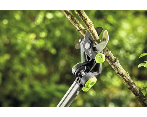 Astschere beim Schneiden eines Astes