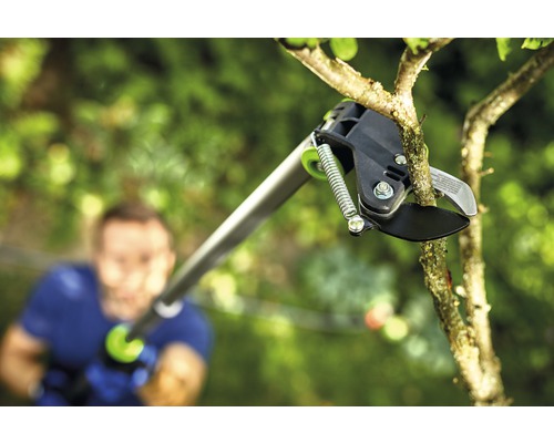 Eine Astschere im Einsatz an einem Baumast.