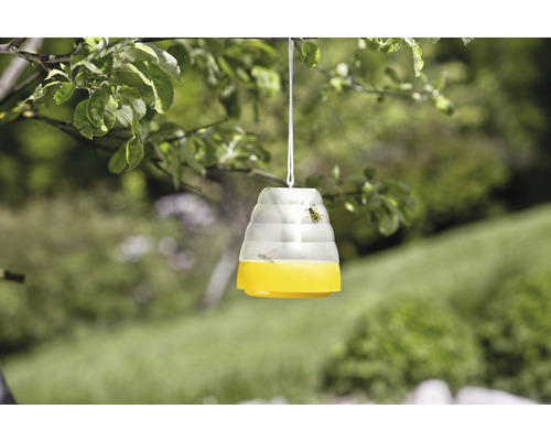 Wespenfalle hängt an einem Baum