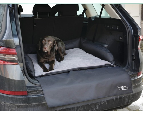 Hund im Kofferraum auf Hundebett mit Kofferraumschutz