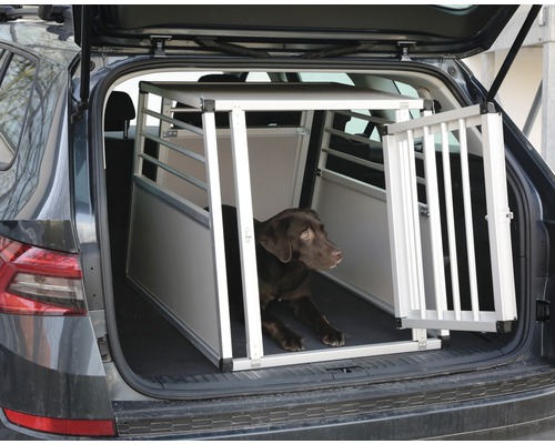 Hund in einer Aluminium Transportbox im Kofferraum eines Autos