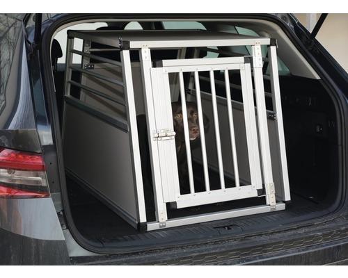 Hund in Aluminium Transportbox im Kofferraum eines Autos