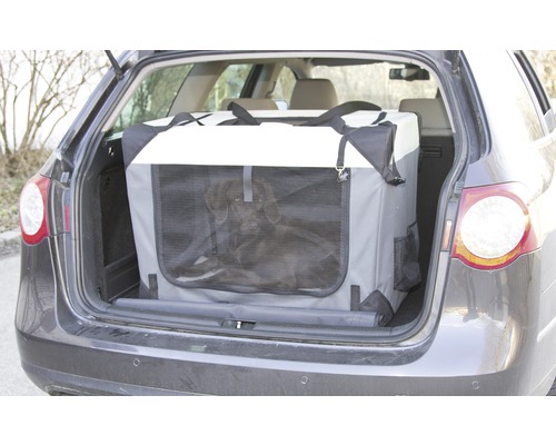 Hund in Transportbox im Kofferraum