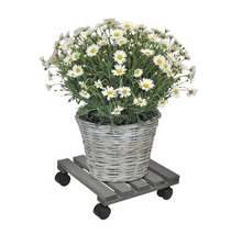 Gänseblümchen in geflochtenem Korb auf Pflanzenroller aus Holz