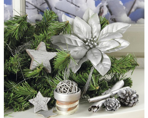 Weihnachtsdekoration mit Tannenzweigen, Sternen, Weihnachtsstern, Zimtstangen und Tannenzapfen