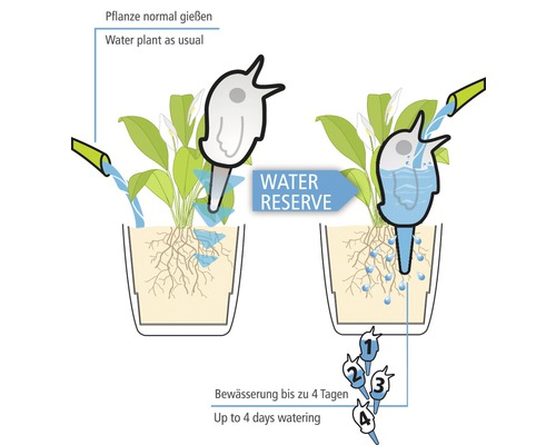 Illustration zur Bewässerung von Pflanzen mit einem Vogelspender