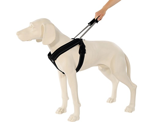 Hundegeschirr mit Leine an einer Hundepuppe