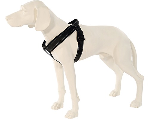 Hundegeschirr am Hundemodell