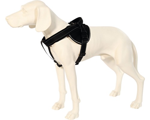 Schwarzes Hundegeschirr am Hund