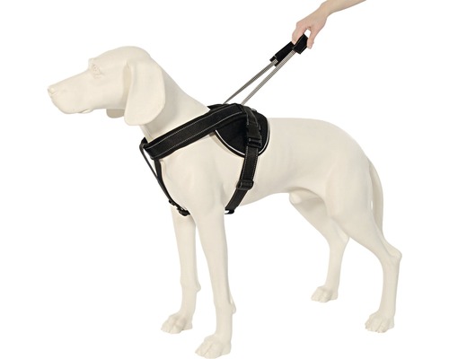 Hundegeschirr mit Leine am Hundemodell